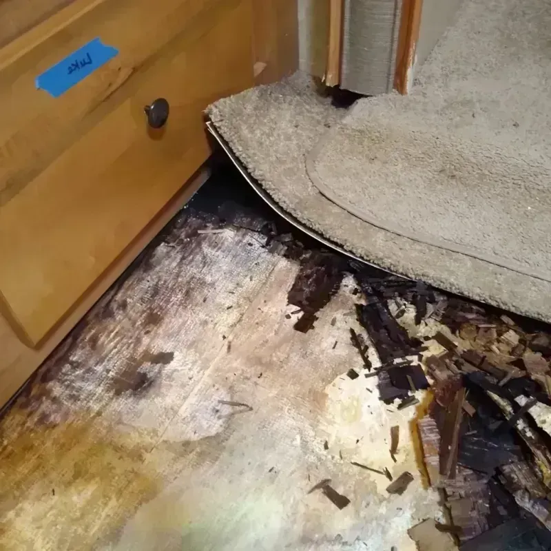 Best Wood Floor Water Damage Service in Hermosa Beach, CA